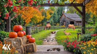Peaceful Autumn Farm Ambience Cozy Fall Scenery & Gentle Nature Sounds For Relax And Sleep 4K