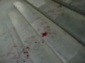 Moscow metro bomb attack, 03/29/2010