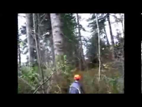 Bigfoot Trailer