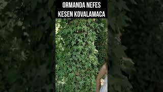 Nurgül Yeşilçay'ın Orman Kaçamağı | Şellale #shorts
