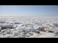 Wakeskating Icebergs in Cape Cod w/ Brian Grubb