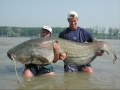 Maiores Peixes do Mundo !!! www.logomarcanet.com
