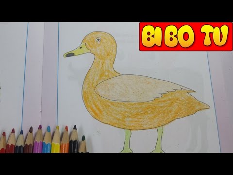 Tô Màu Cho Bé & Trò Chơi Chị Bí Đỏ Làm Họa Sĩ Tập Vẽ Tranh Con Vật | Coloring Pages of Animals P7