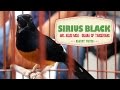 BIRD PLANET : White Rumped Shama Singing Loud | Murai Batu SIRIUS BLACK