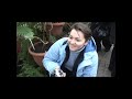 Video Азалии и орхидеи в Киевском ботсаду