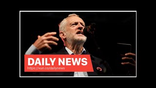 Daily News - Dawn Butler caused controversy during his time at the Labor Party convention