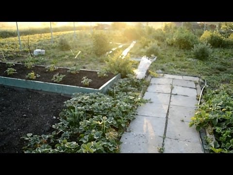 Теплицы в Северодвинске - парники и теплицы из поликарбоната Народный Завод Теплиц - Теплицы из поликарбоната в