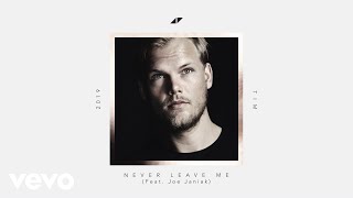 Watch Avicii Never Leave Me feat Joe Janiak video