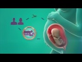 Zika condom use during pregnancy, 30sec video spot, PSI
