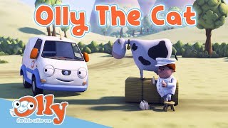 Cars for Kids - Olly the Cat | Transport for Kids | Olly the Little White Van