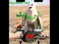wlad 04