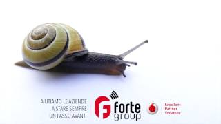 Forte Group S.r.l. Prenota subito la visita di un nostro consulente!