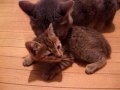 一(はじめ)と希(のん)です