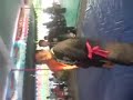image Penutupan Sh Terate Cup Bojonegoro Pencak Silat Martial Arts