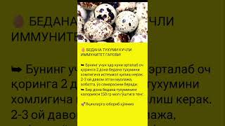 Бедана Тухуми Кучли Иммунитет Гарови