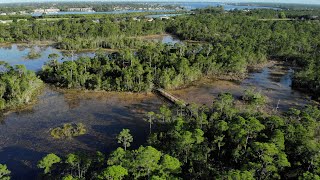 Preserving Nature and History at Spruce Bluff Preserve