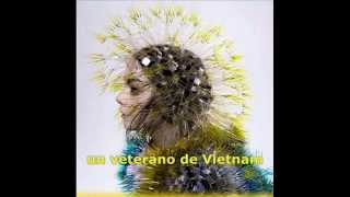 Watch Bjork Lion Song video