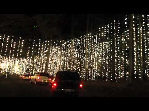 Callaway Christmas lights finale