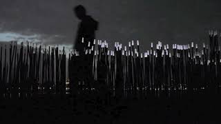 Watch Cats Night Time video