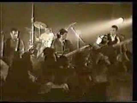 Old Rocker Busted Video