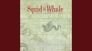 Watch Squid The Whale The Looking Glass video