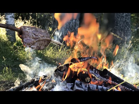 Мясо на палке. Мясо на палке.