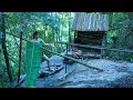 Solo bushcraft survival and camping in the wild - Wild harvest and overnight shelter