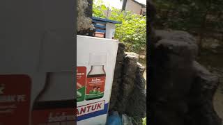 Prank Temen Lagi Coli