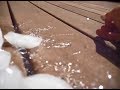 OldThinkerTube's ICE BUCKET CHALLENGE