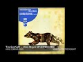 Trockensaft - Ursa Major (Vasile Gorbani Remix) [KDB 020D]
