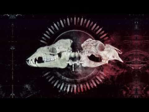 The Fecal Rebellion Video