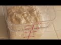 Tartine Bread Basic Country Loaf (start to finish), Round 1