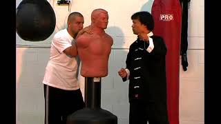 The Upper Cut In Kung Fu