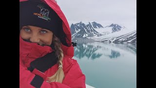 Realm Of The Polar Bear