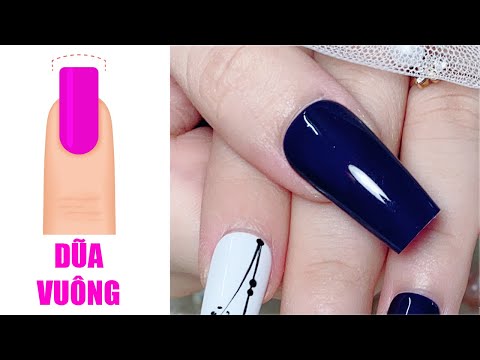 GIÁO TRÌNH DŨA MÓNG : BÀI 1 MÓNG VUÔNG