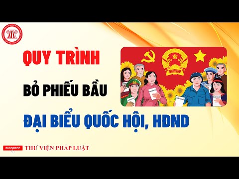 Quy Trình Bỏ Phiếu Bầu Cử Đại Biểu Quốc Hội, HĐND Các Cấp