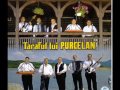 stream Taraful Lui Purcelan Crenguta Rupta Din Dud Taraful Lui Purcelan Crenguta Rupta Din Dud image