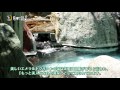 新潟県月岡温泉の開湯100周年記念プロモーション動画