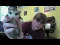Baby Possum (Opossum) - Look What the Cat Dragged In