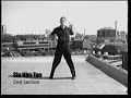 Wing Chun Kung Fu  Siu Nim Tao Form