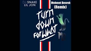 Dj Snake Turn Down For What (Mehmet Besrek Remix)
