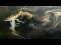 In Mother Earth Phase Video preview