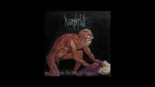 Watch Neoandertals Entombment video