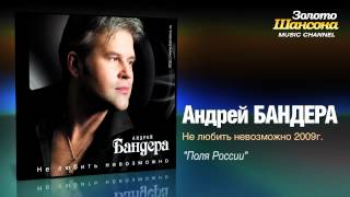 Андрей Бандера - Поля России (Audio)