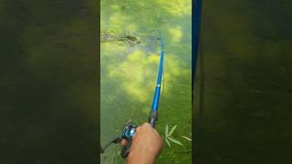 Hooked A Big Fish