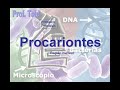biologia: procariontes   parte 01  prof  toid 