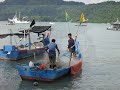 A Ramlie Senandong Nelayan images A Ramlie Senandong Nelayan