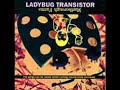 Ladybug Transistor - Sneedle