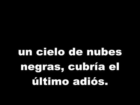 DIAS DE VERANO AMARAL dias de verano amaral: