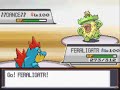 Wi-Fi Battle #354 (Killer Nacho v andrechipote95) [Underused]